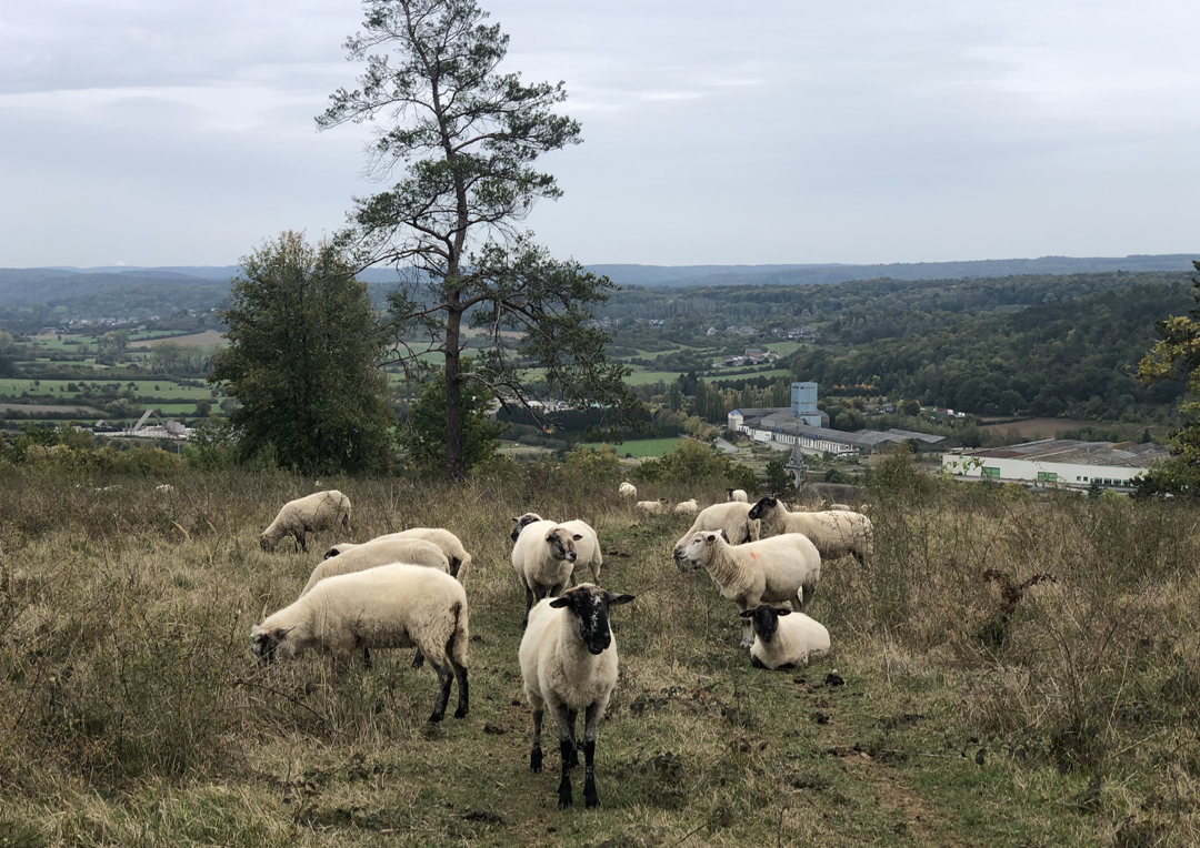 chaire idis-projet-transit-006