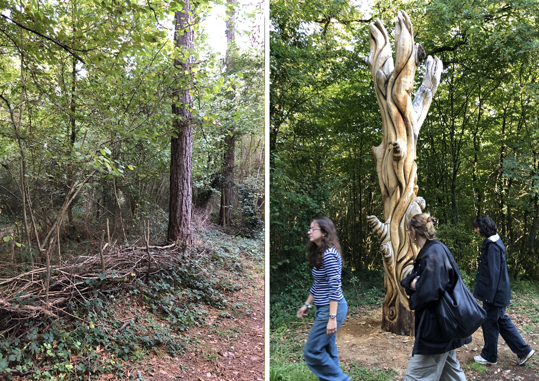 chaire idis-projet-transit-018